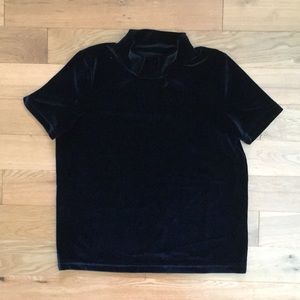 Madewell Black Velvet Mockneck Tee